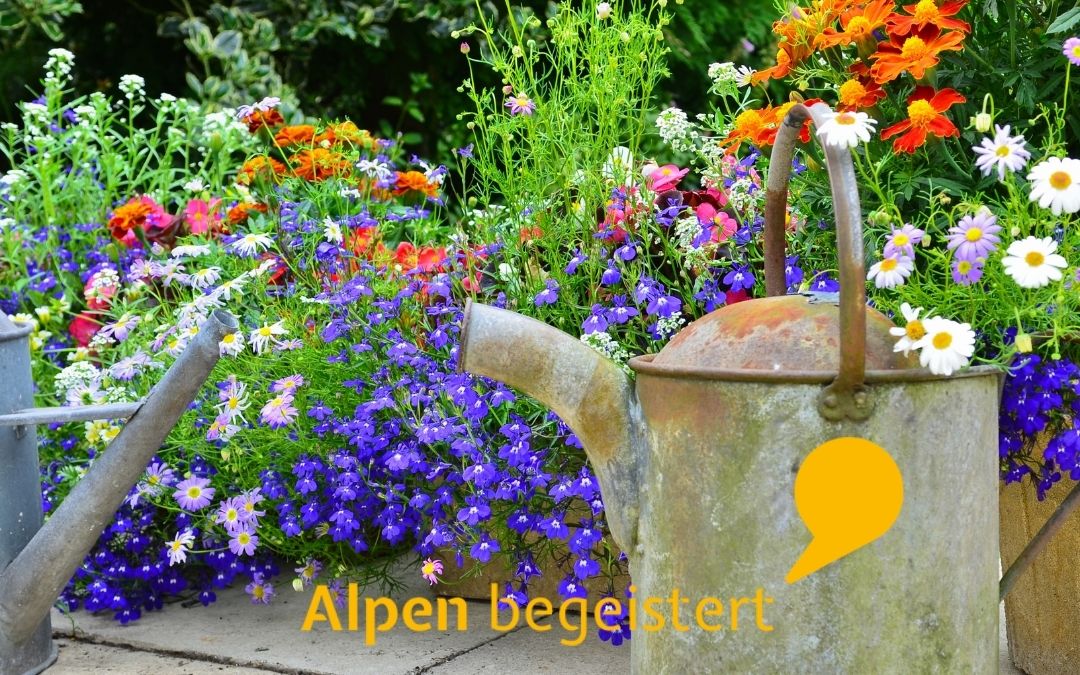 Tag der offenen Gärten in Alpen am 15. Juni 2025: Jetzt Gartenbesitzer und Betriebe zur Teilnahme aufgerufen