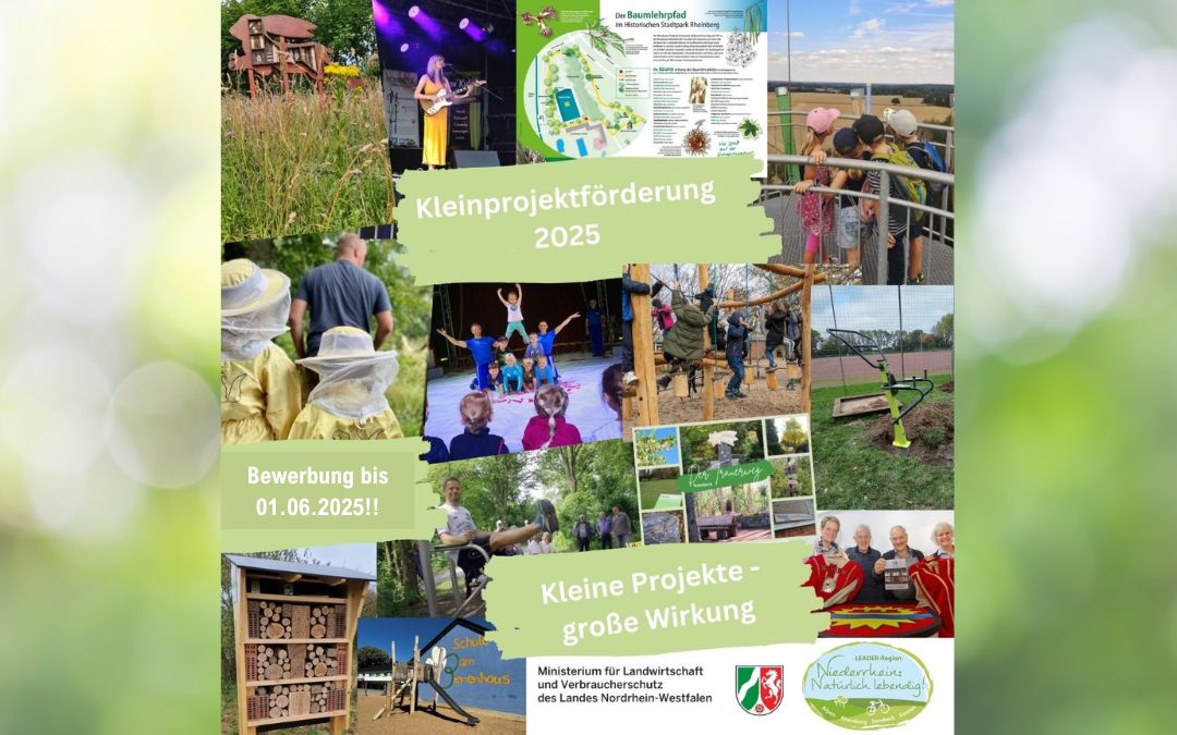 Letzte Chance für kreative Ideen: 2. Förderaufruf Kleinprojektförderung 2025