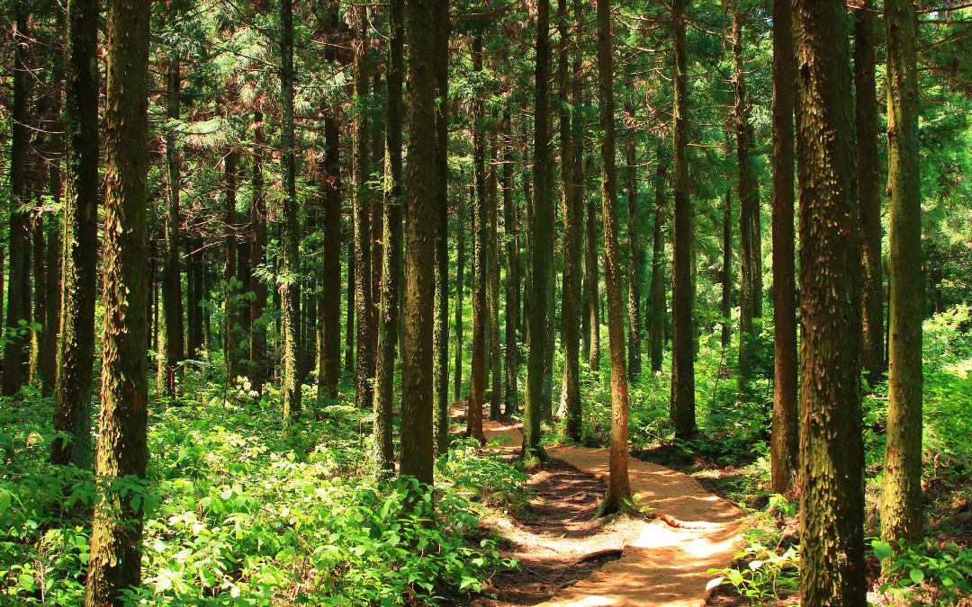 KAB St. Josef Menzelen läd zur Führung in die Leucht am 11.10.25 ein