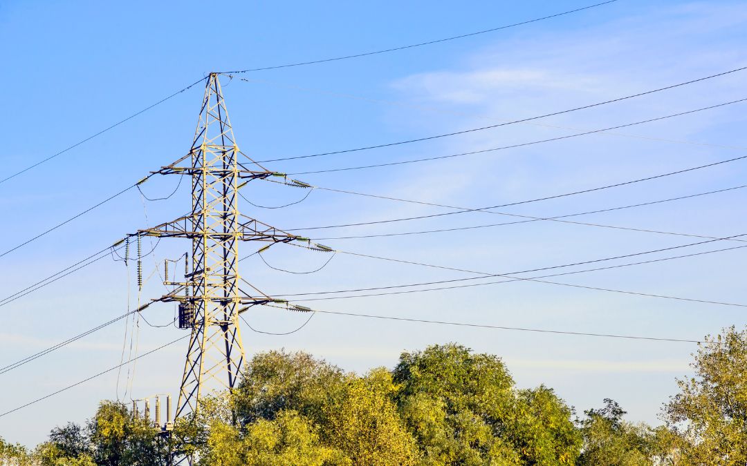 Geplante Stromabschaltung auf der Bönninghardt am 4. November 2025 – Westnetz führt Baumfällung durch