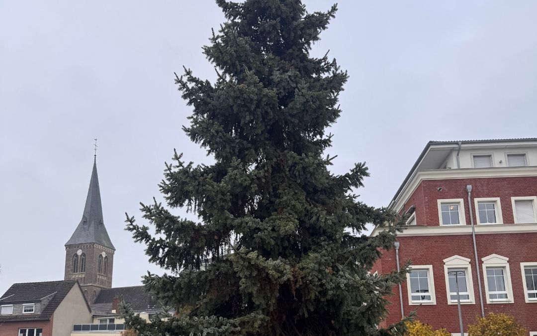 Der Rathausplatz ist wieder im Weihnachtsfieber!
