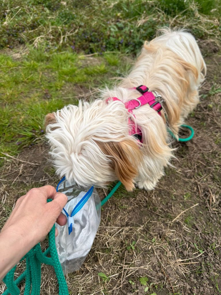 Funny Geruchsträger