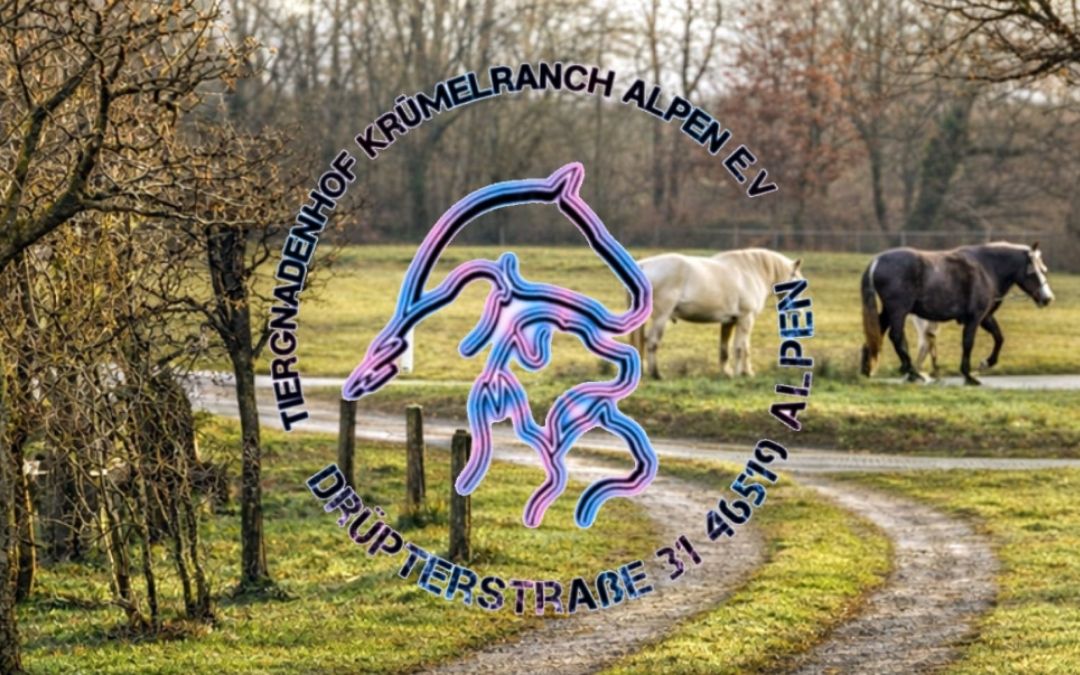 Hoftrödelmarkt auf der Krümelranch – Ein Wochenende für Tierfreunde