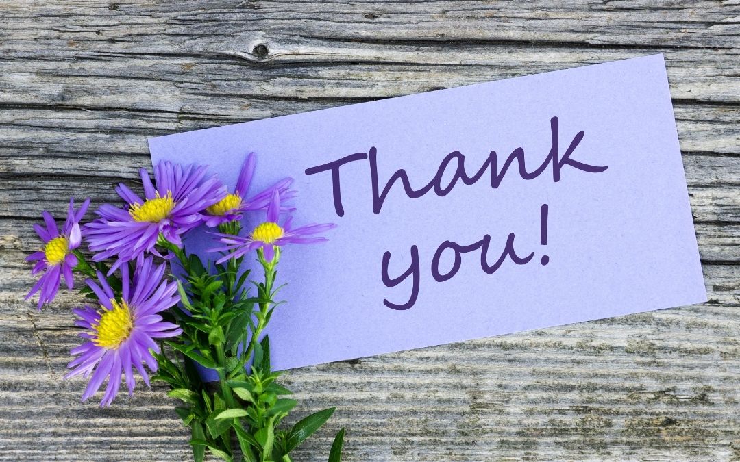 Hoftrödelmarkt auf der Krümelranch: Großer Erfolg für den guten Zweck