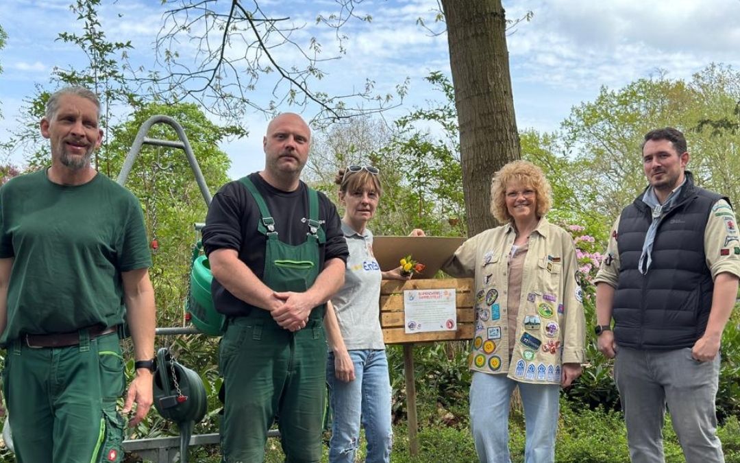 🌷 Blumenzwiebeln spenden statt wegwerfen! 🌷