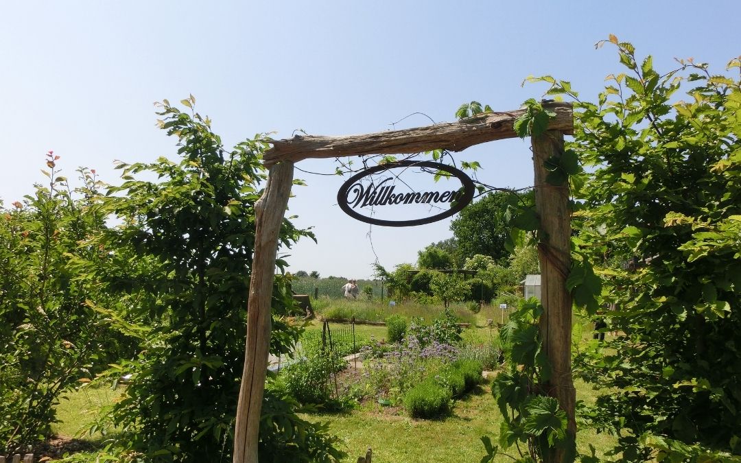 Offene Gärten in Alpen am Niederrhein – 21.6.26, 11-17 Uhr