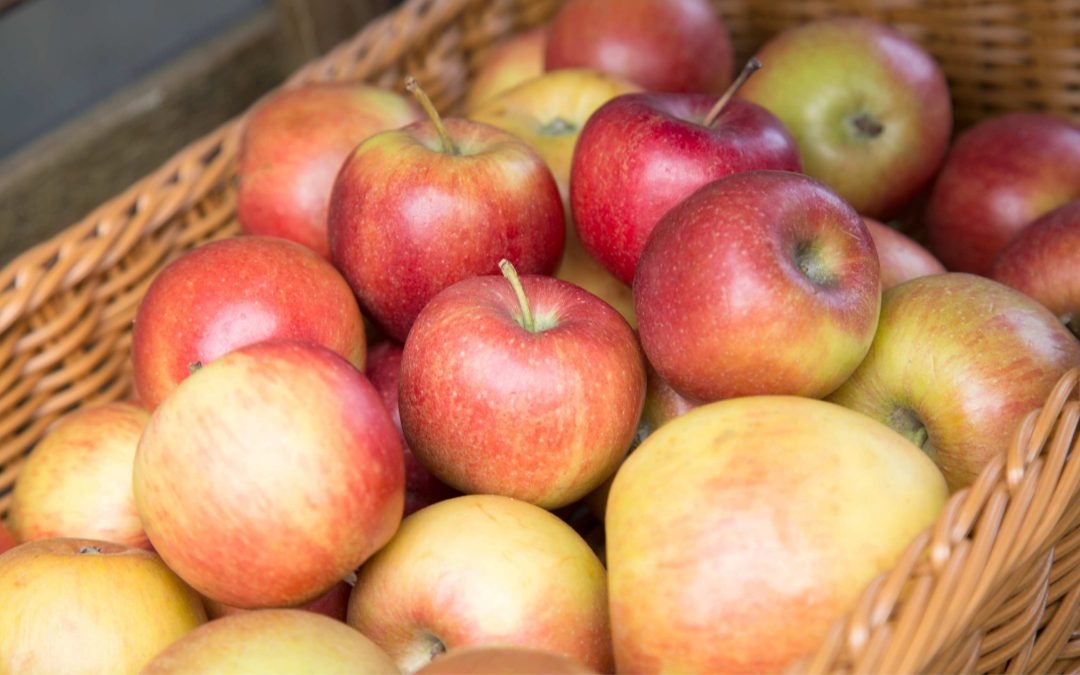 Streuobstwiesenfest in Alpen: Alte Obstsorten, Natur und mittelalterliches Flair