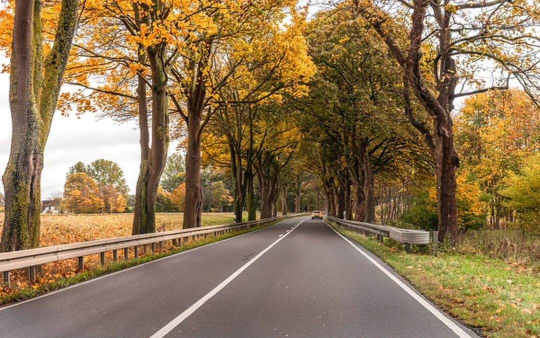 Gemeinde Alpen setzt Wirtschaftswegekonzept weiter um: Diese Maßnahmen sollen noch in 2026 umgesetzt werden